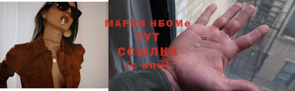 мдпв Новозыбков